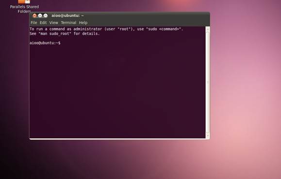 Ubuntu에서 실행한 터미널 화면